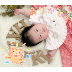 tme_20251214230047