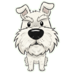 ชเนาเซอร์ (สีขาว) : Nikkyu Shoji