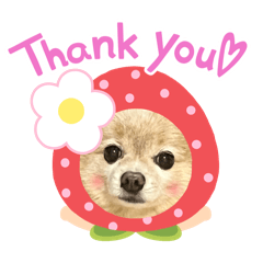 chiroko_20251214213824