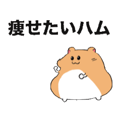 痩せたいハムちゃん①