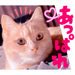 Mochioba_20251216101855