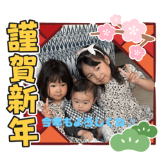 flower_20251215085309