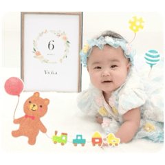 koara_20251215134213