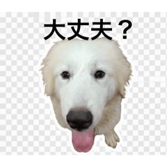 tekuteku_20251215140806