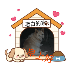 老白的家