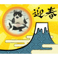 oshiri_0703_20251214233331