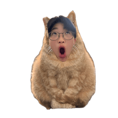 haruma_20251214233527