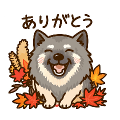 eriko_20251215170913