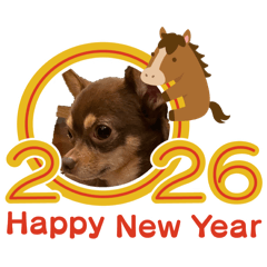 Kurumi_20251215171343