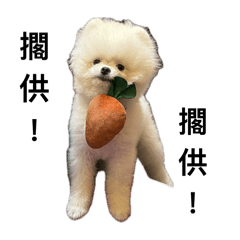 小小冒險家-長大篇