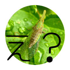 soucho_20251215173703