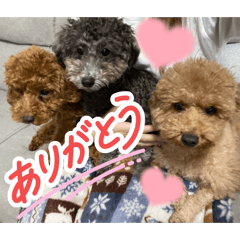 raito_20251215113058