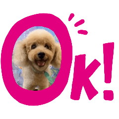 melon_20251215161814