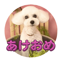 Amery_20251215161926