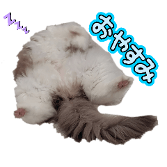 tanaka_20251215203158