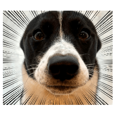 Charlie_20251215191508