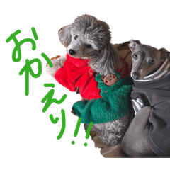 oga house_20251215203125