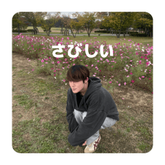 kotatu_20251215192212