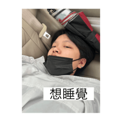 胖胖喜歡室友帥帥胖