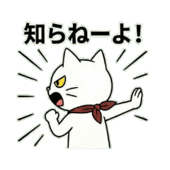 Kanto Cats , Light and Clean Flavor