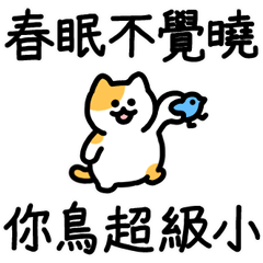 Lucky Rhyming Cats 18