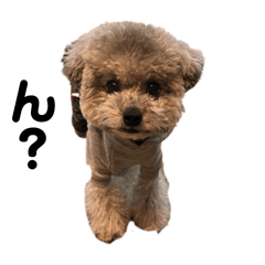 CRAZY_20251214192356