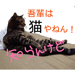 fukuryuu_20251214192712