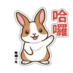 Rice Ball Rabbit Daily Phrases 2