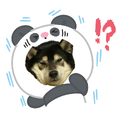 tingtingwang_20251215004502