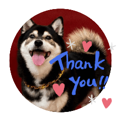 tingtingwang_20251215004219