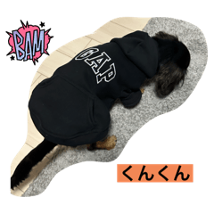 kanachi_20251215103043