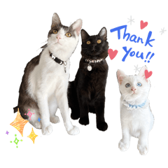 Three useless brothers