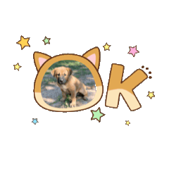 NOONIM_20251215221016