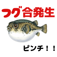 yuka_20251215212516