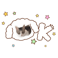 akane_20251215111531