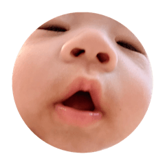 我是陳皮，我不皮