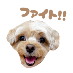 Miiii_20251215120611