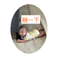 朋兄森弟