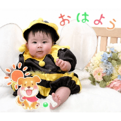 misaki_20251215115426