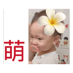 萌～甜湯圓生活日常大小事。