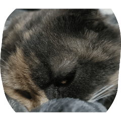 yamada_20251215224745