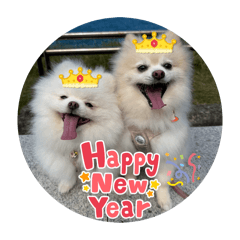 Q糖寶貝祝福