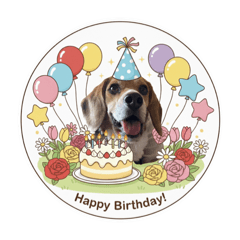 Happy the Beagle Dog @ Japan