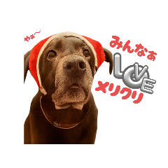 meguri_20251215145550