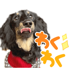 haruna.k_20251215144633