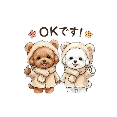 Maltipoo & Toy Poodle (Winter)