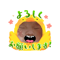 ochapiii_20251215180721