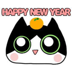 tuxedo cat gyu third season