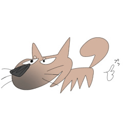 My family's Shiba Inu, Chiro.