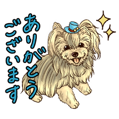 ヨーキーのくうちゃんLINEスタンプ
